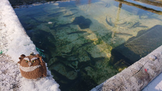 20200115_FO日高1‗給餌場_DSC_1349.jpg