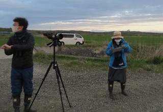 オオジシギ調査風景_下幌呂自然再生地.jpg