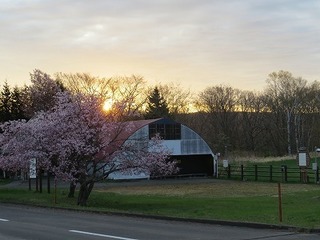 IMG_6034.jpg