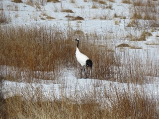 IMG_8678.jpg