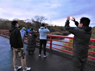 JALCSR_音羽橋からねぐら観察.jpg