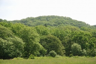 A対象地の遠景.jpg
